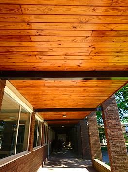 Wooden ceiling to outdoor path