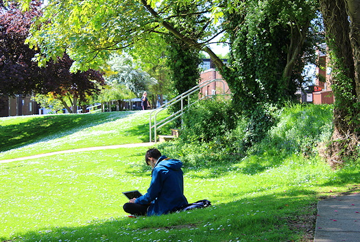 A male student sitting on the grass working