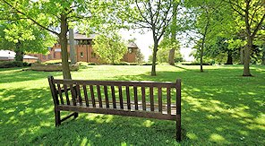 Bench with grass, trees and a building in the distance - with summer sunshine