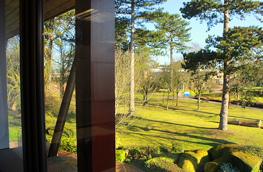 View from top floor of building over parkland
