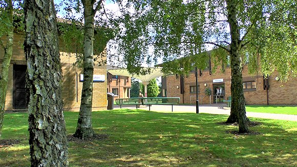 Looking through silver birch trees to modern buildings beyond
