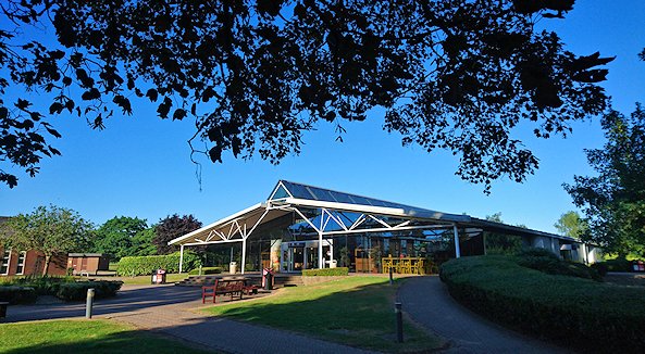 Tree branches silhouetted against a blue sky, with the modern restaurant below, set amongst shrubs and trees