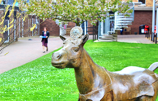 Bronze horse statue