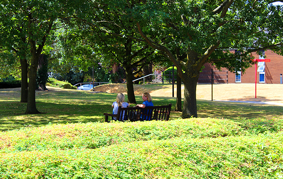 Two female students chat on a bench in the sunshine